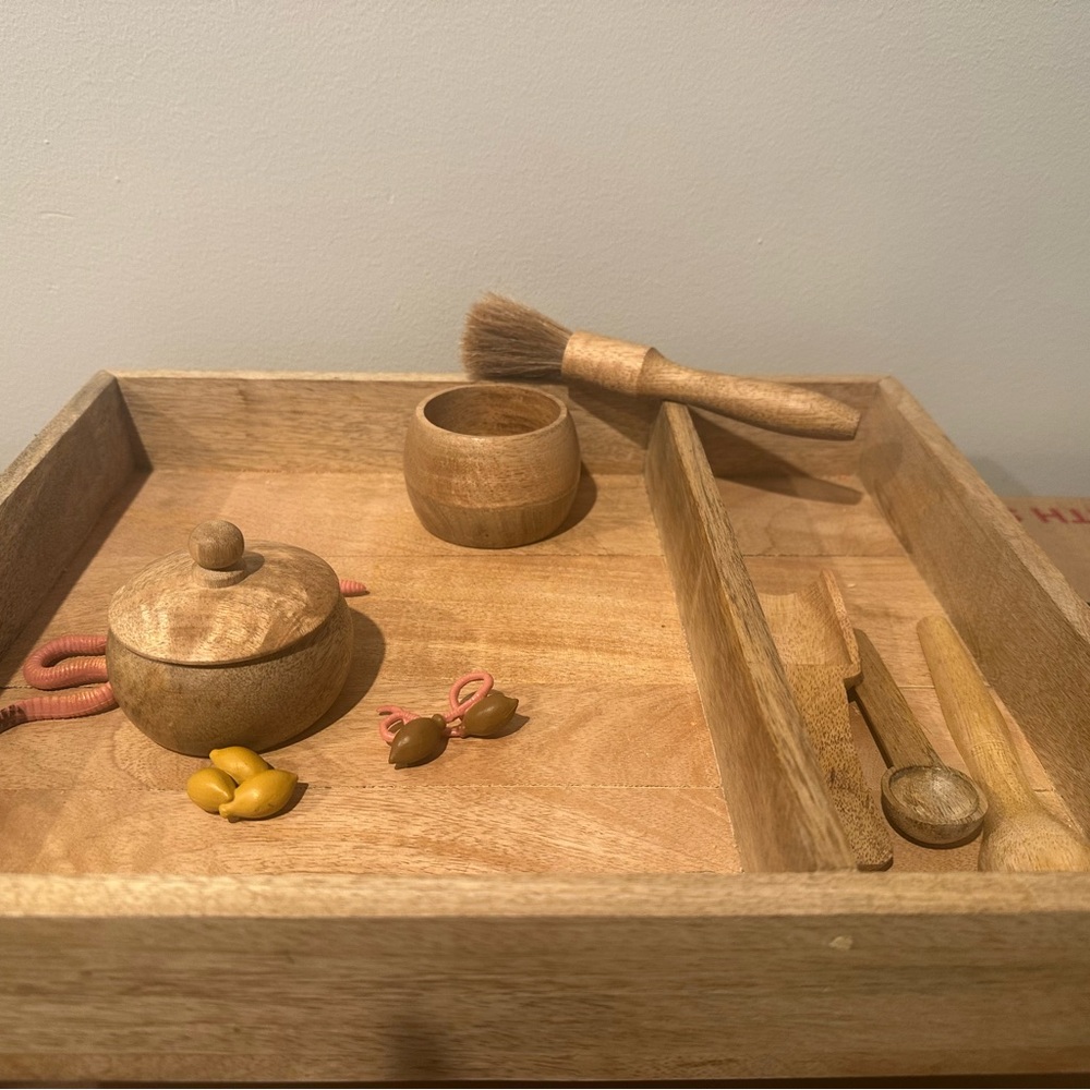 Wooden Play Set - great for sand/rice fill  
Bonus: life cycle of a worm toy